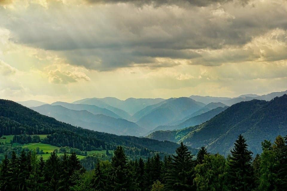 Best a history of wild places discussion questions