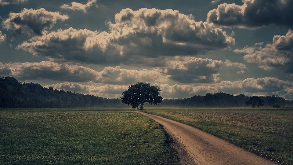 Best agriculture trivia questions