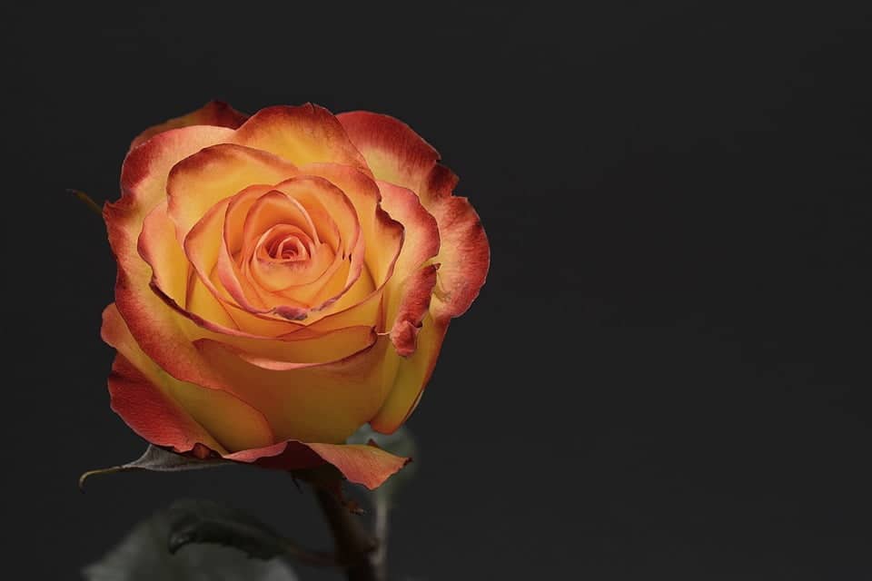 Best creative titles for poems