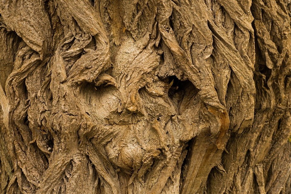 Best creepy psychopath riddles