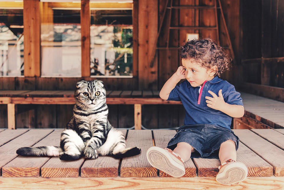Best december riddles