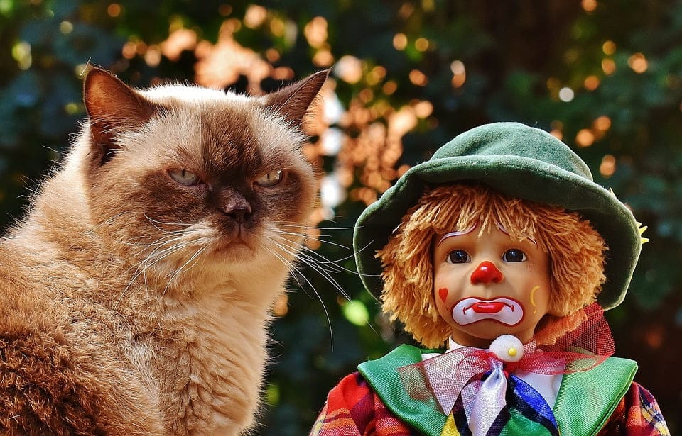Best detective riddles for adults