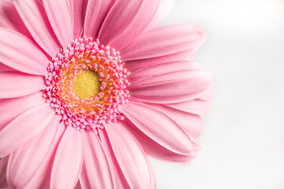 Best eating disorder poems