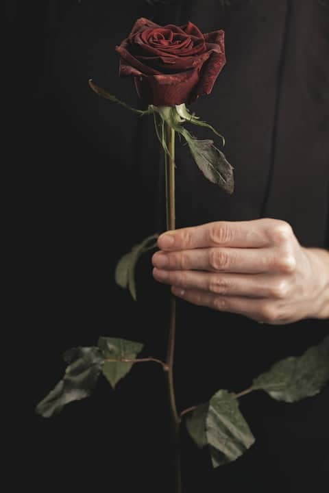 Best ezra pound poems