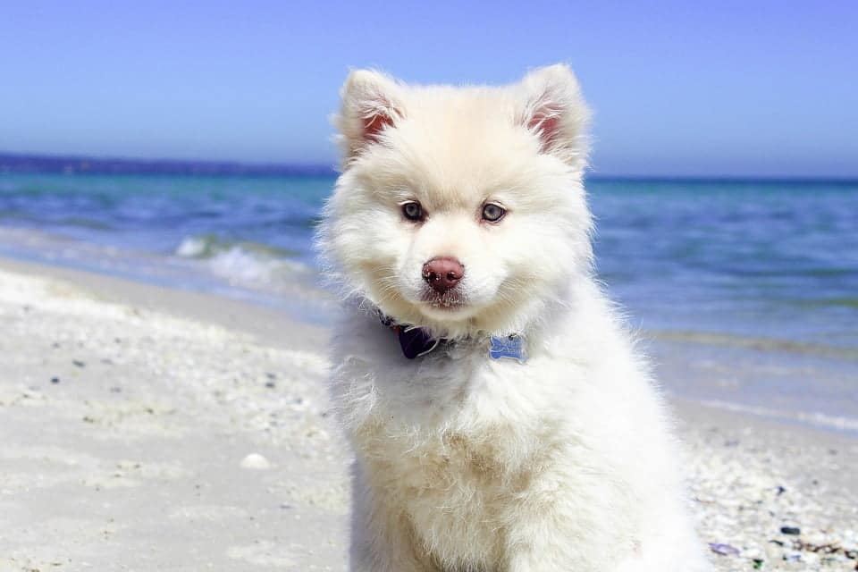 Best ice cream riddles