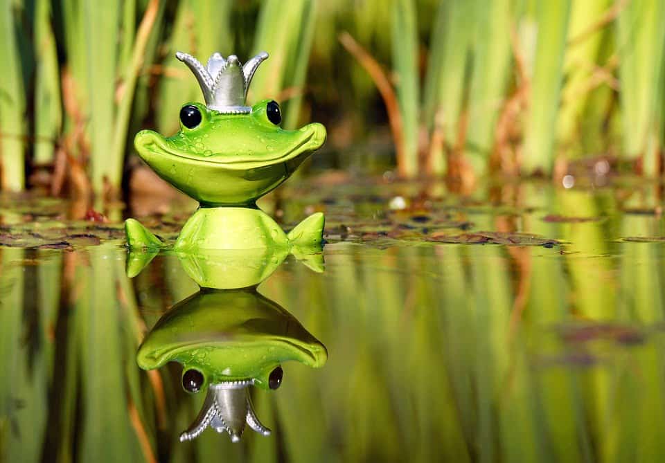 Best riddles for virtual meetings