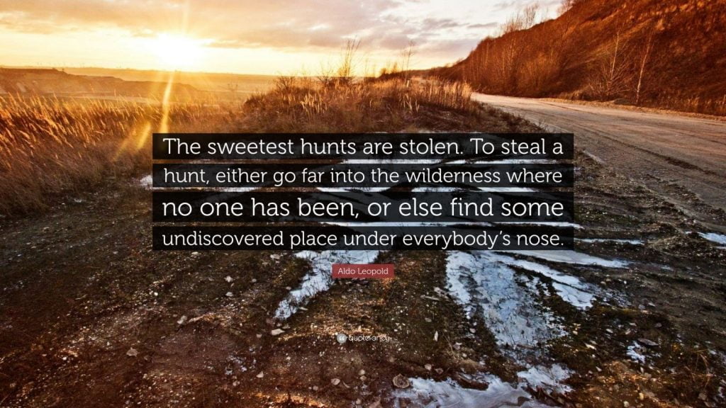 best aldo leopold quotes hunting