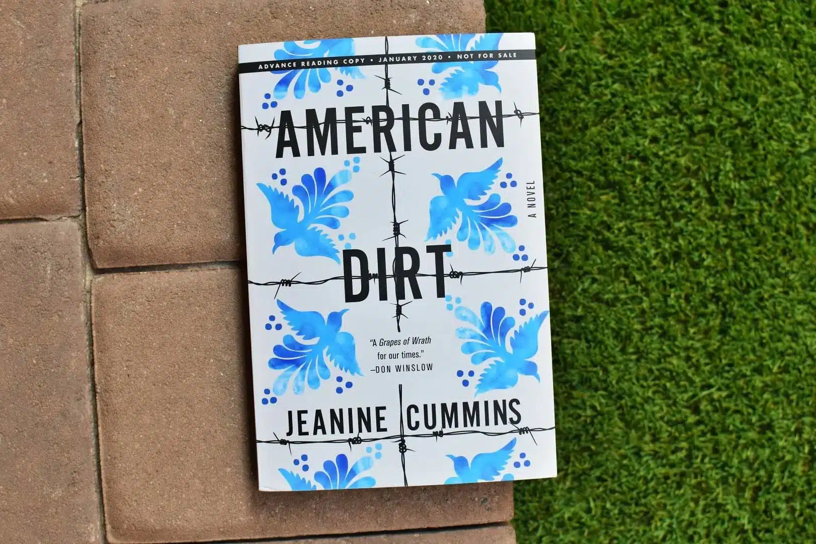 best american dirt discussion questions