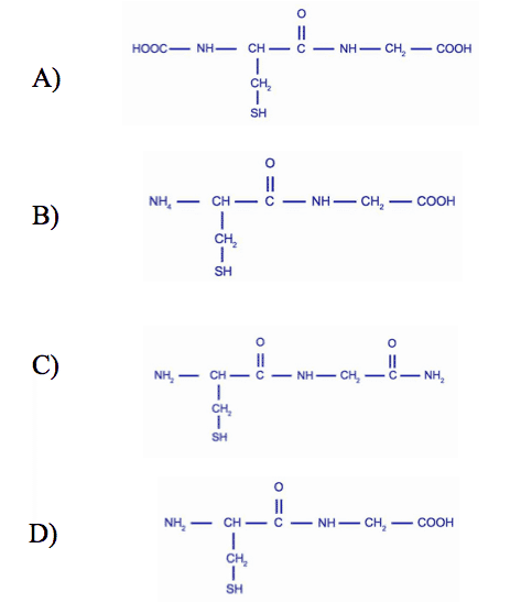 best amino acid mcat questions