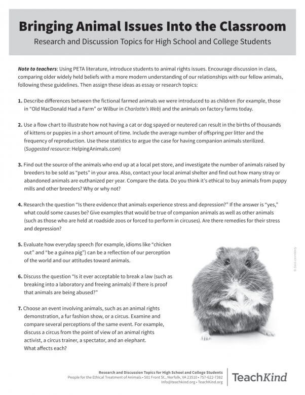 best animal rights questions
