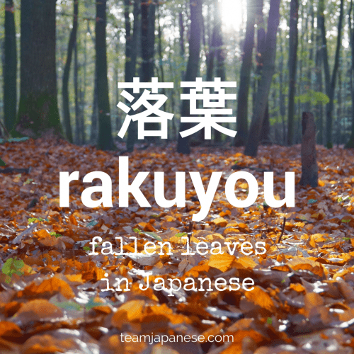 best japanese name for autumn