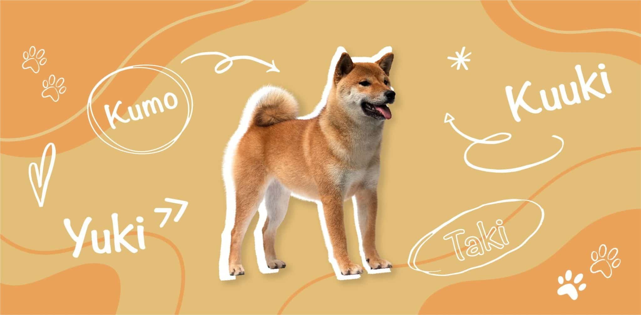 best japanese name for dog
