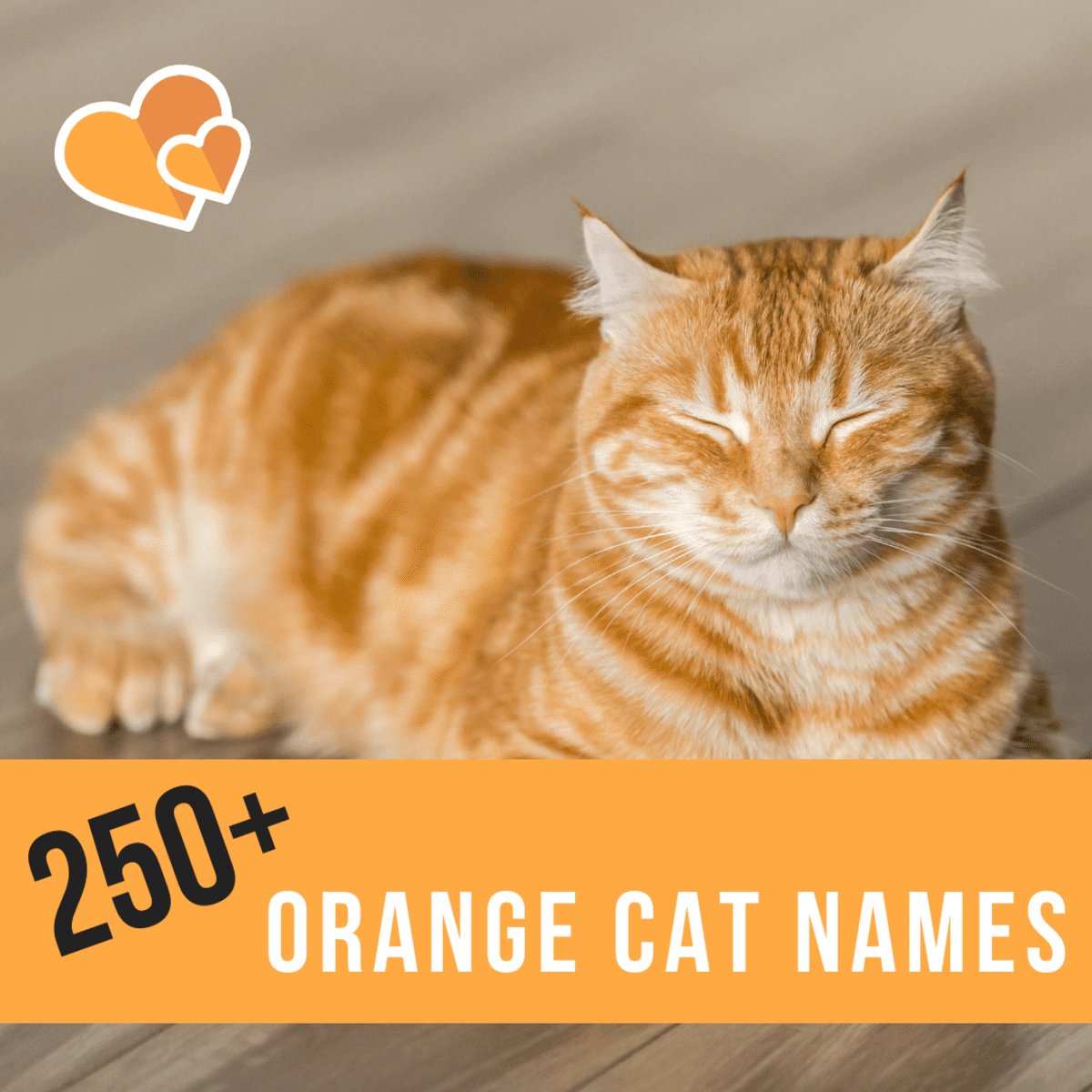 best japanese name for orange cat