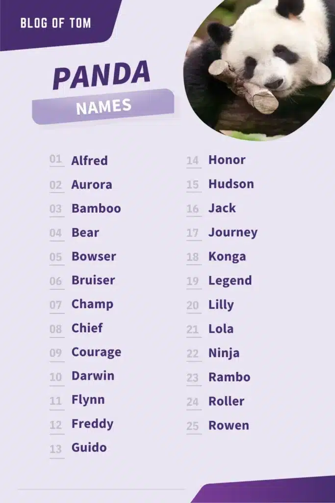 best japanese name for panda