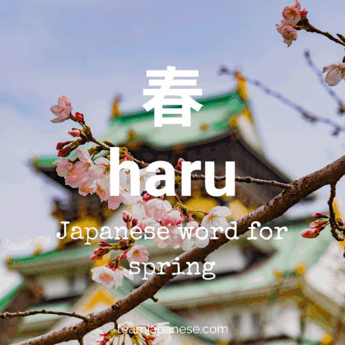 best japanese name for spring