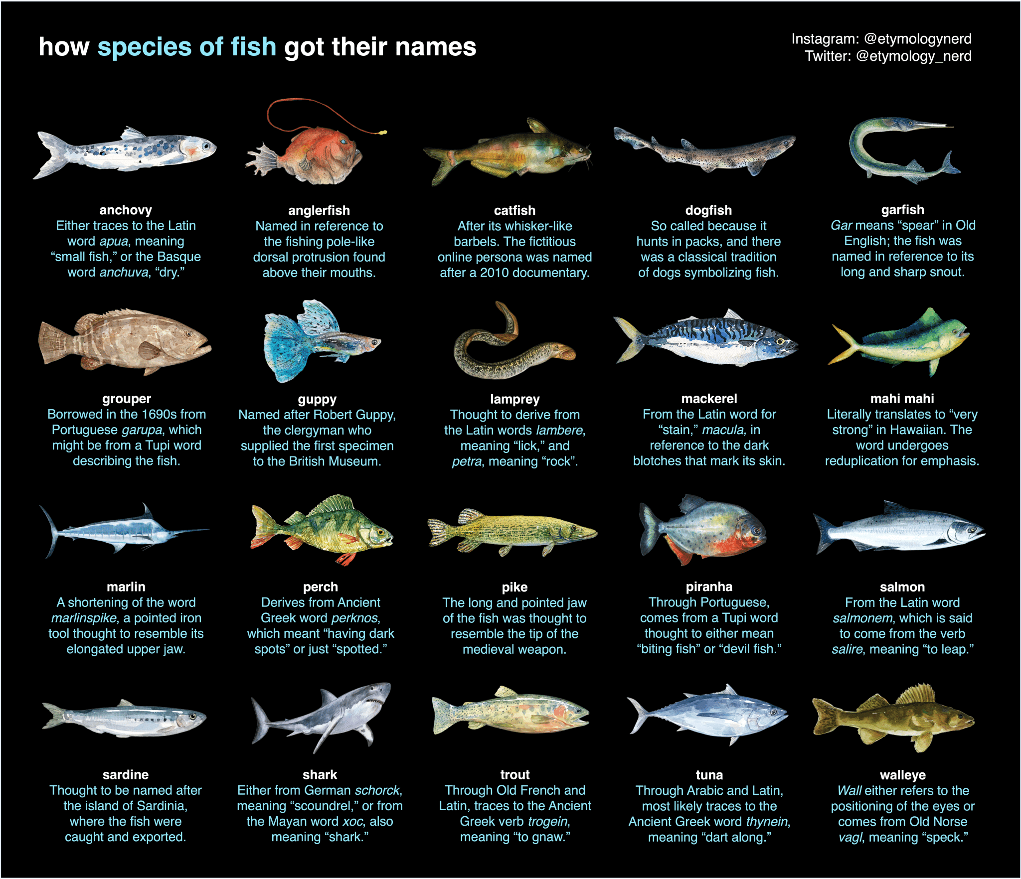 best latin name for fish