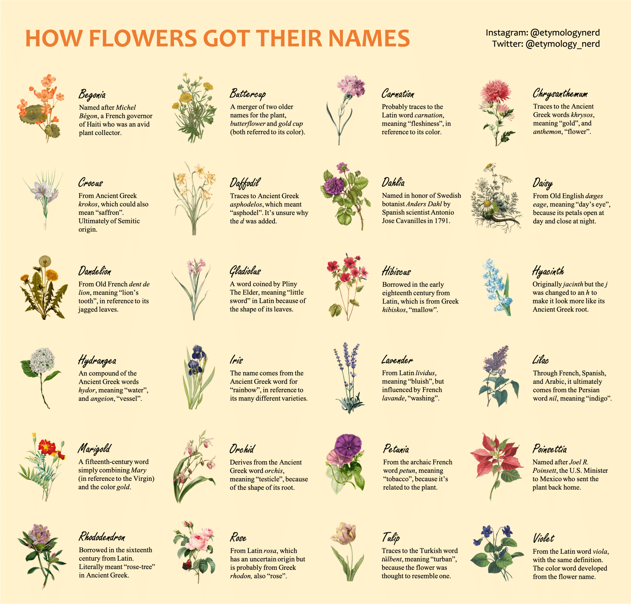 best latin name for flower