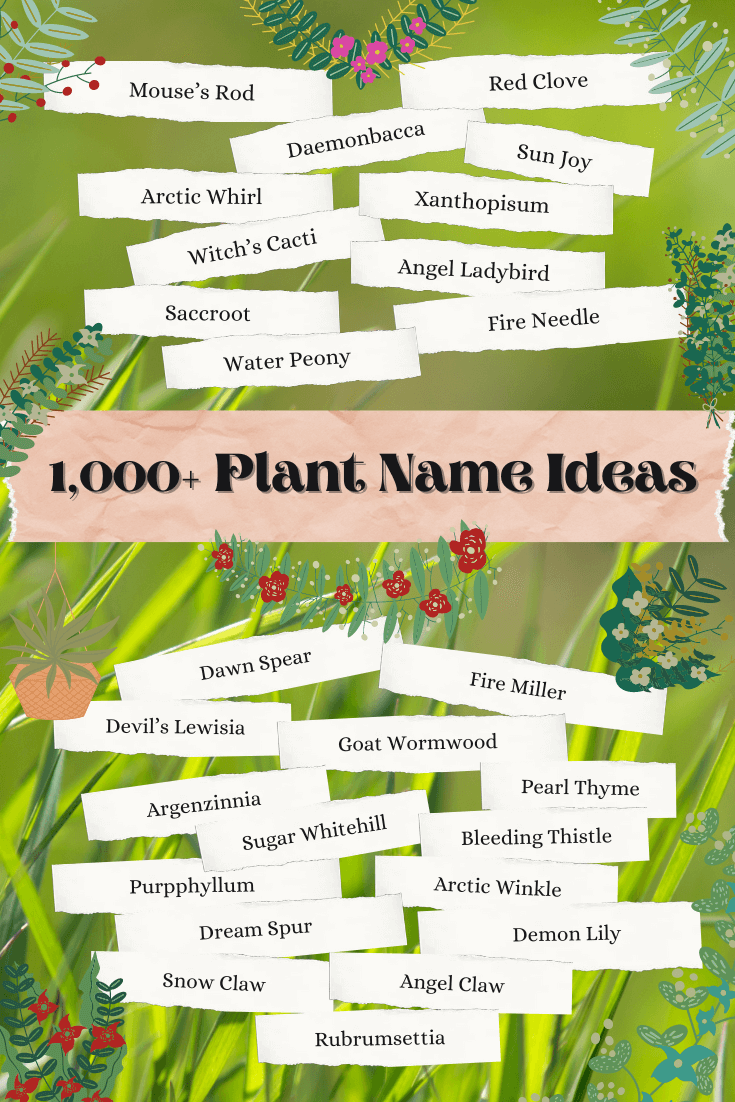 best latin name for tree