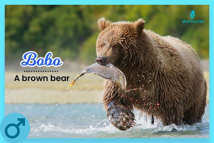 best middle name for bear