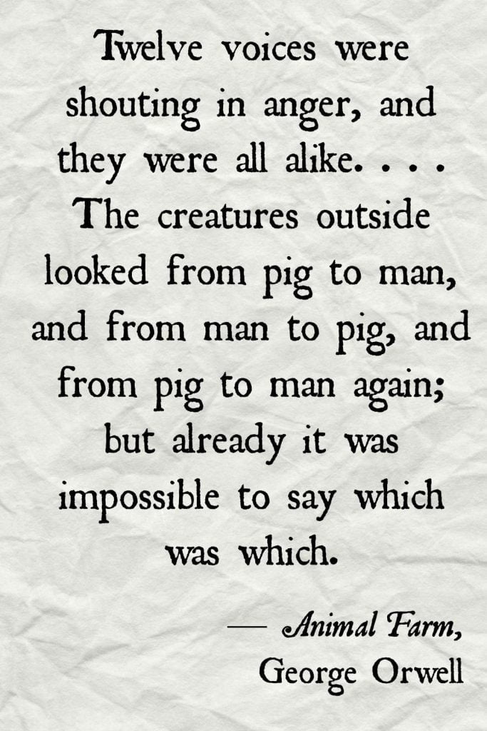 best animal farm ignorance quotes