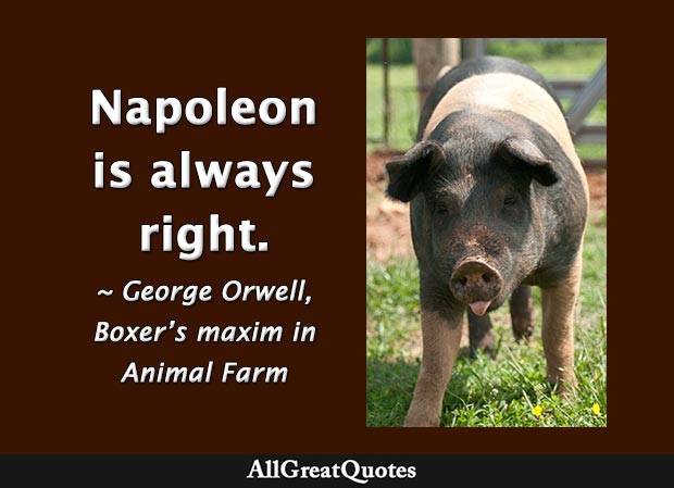 best animal farm napoleon quotes and page numbers