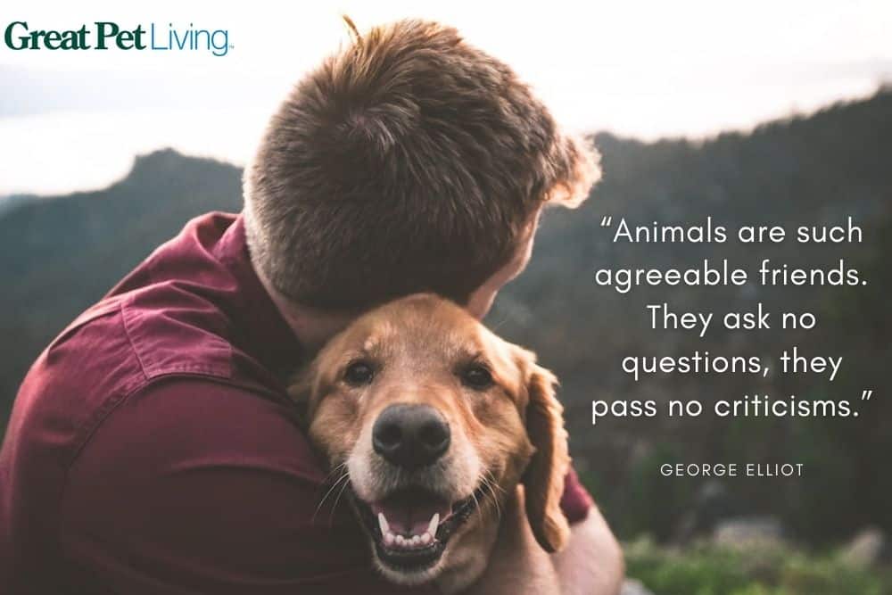best animal friendship quotes