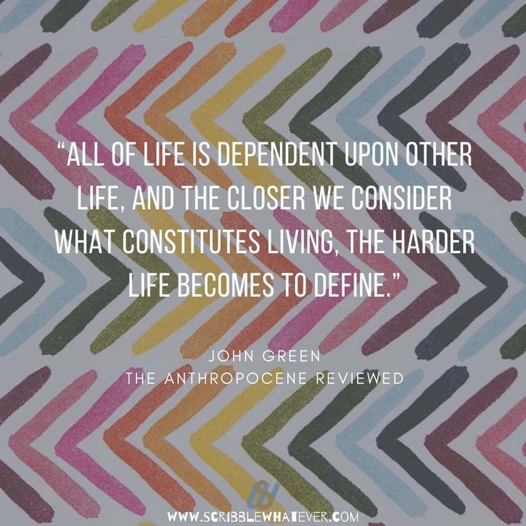 best anthropocene reviewed quotes