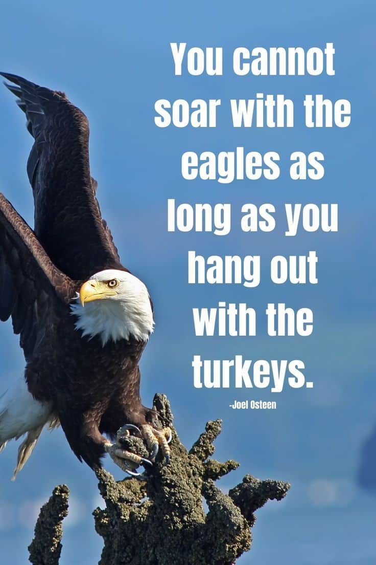 best attitude eagle quotes success