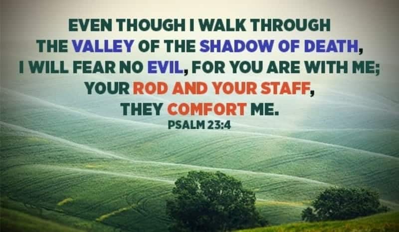 best bad bible quotes