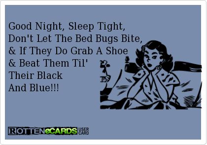 best bed bug quotes