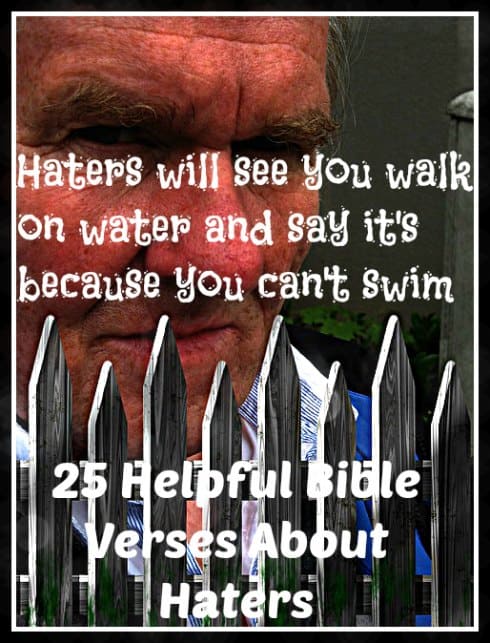 best bible quotes about haters