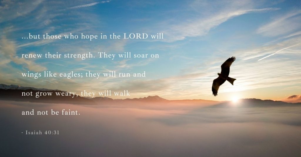 best bible quotes about struggle