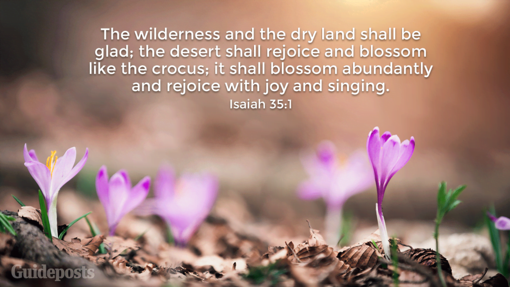 best biblical spring quotes