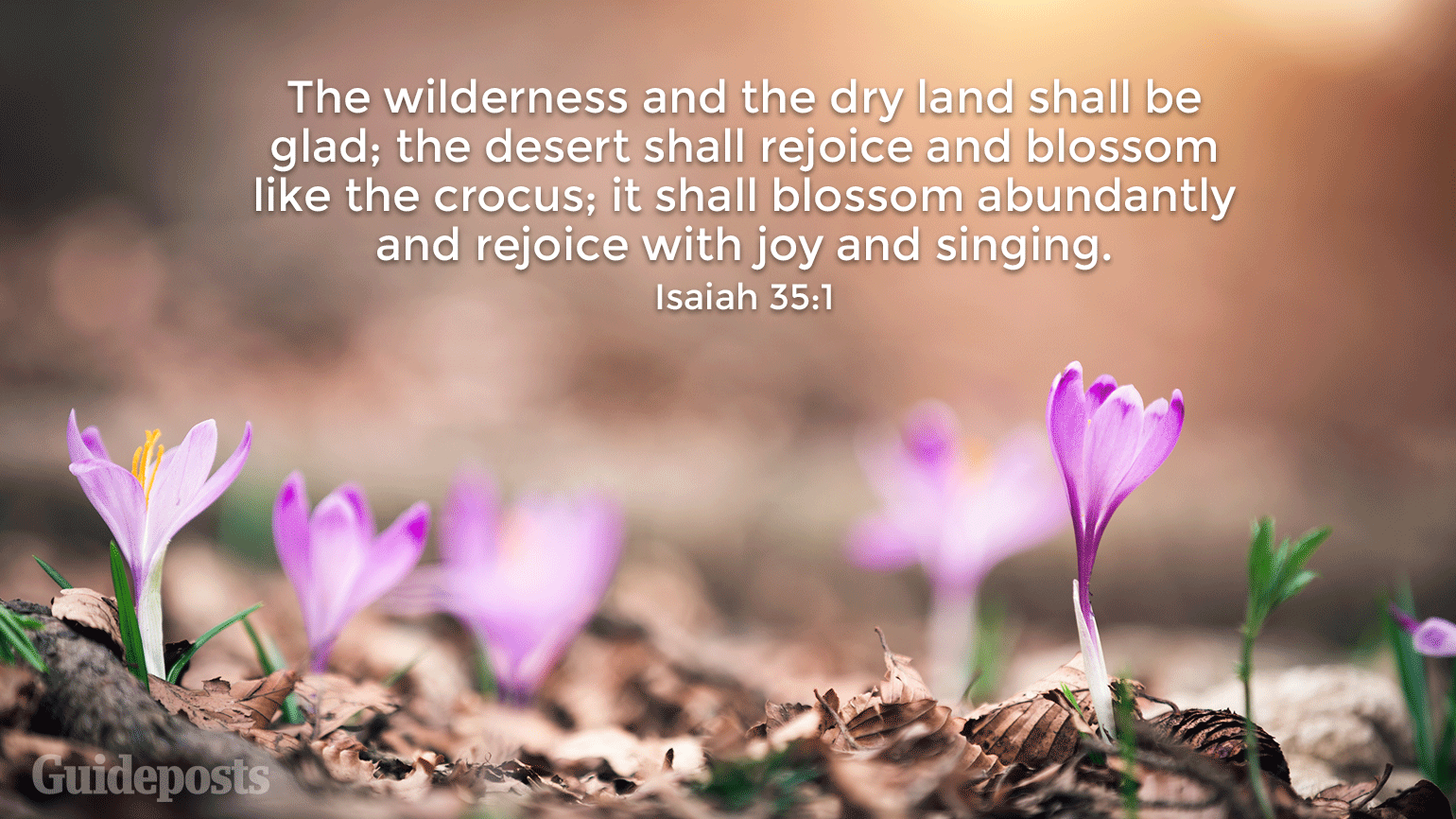 best biblical spring quotes