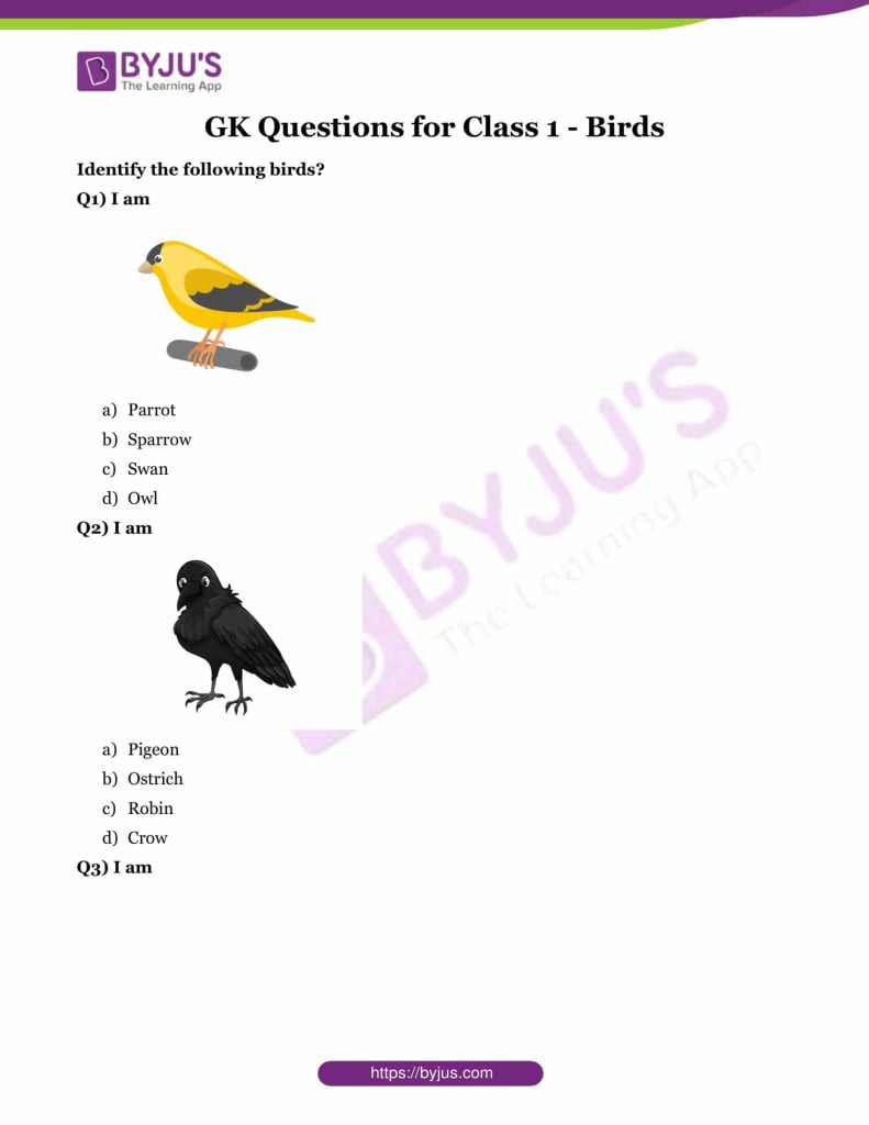 best bird questions