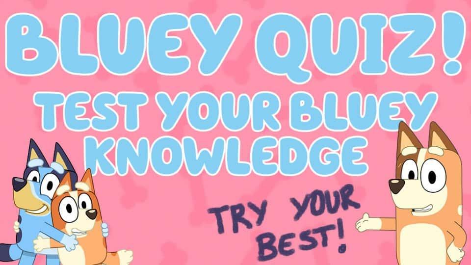 best bluey trivia questions