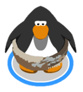 best brown shorts interview questions