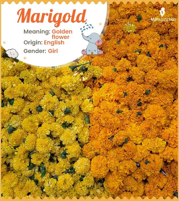 best middle name for marigold