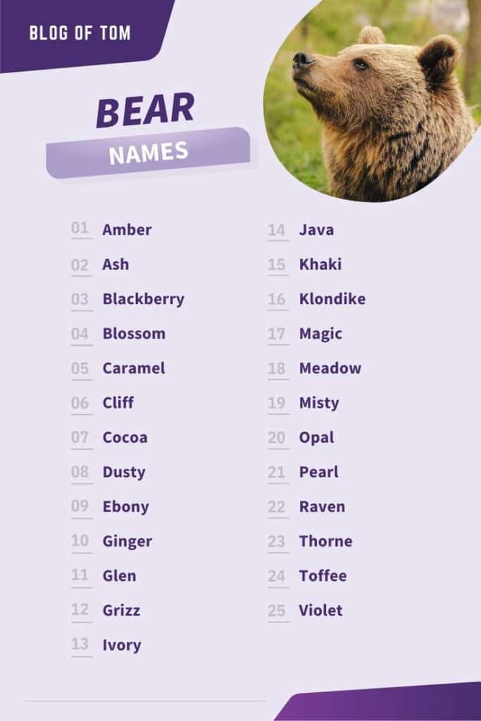 best name for a bear