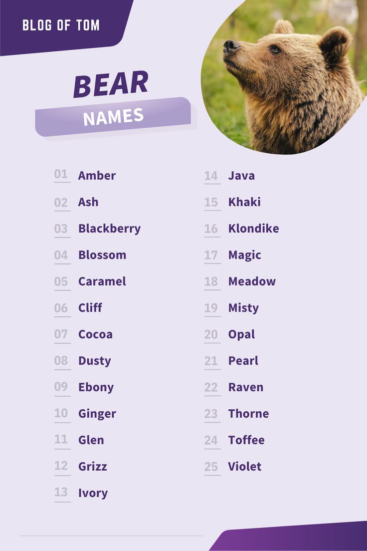 best name for a bear