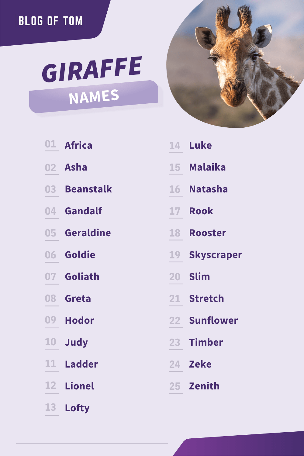 best name for a giraffe