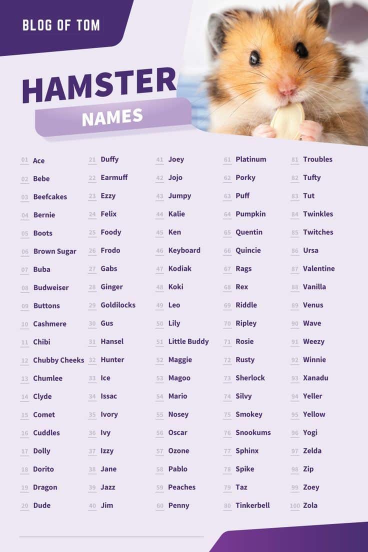 best name for a hamster