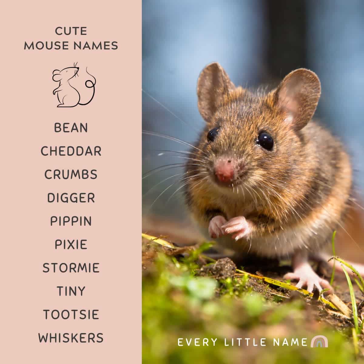 best name for a mouse