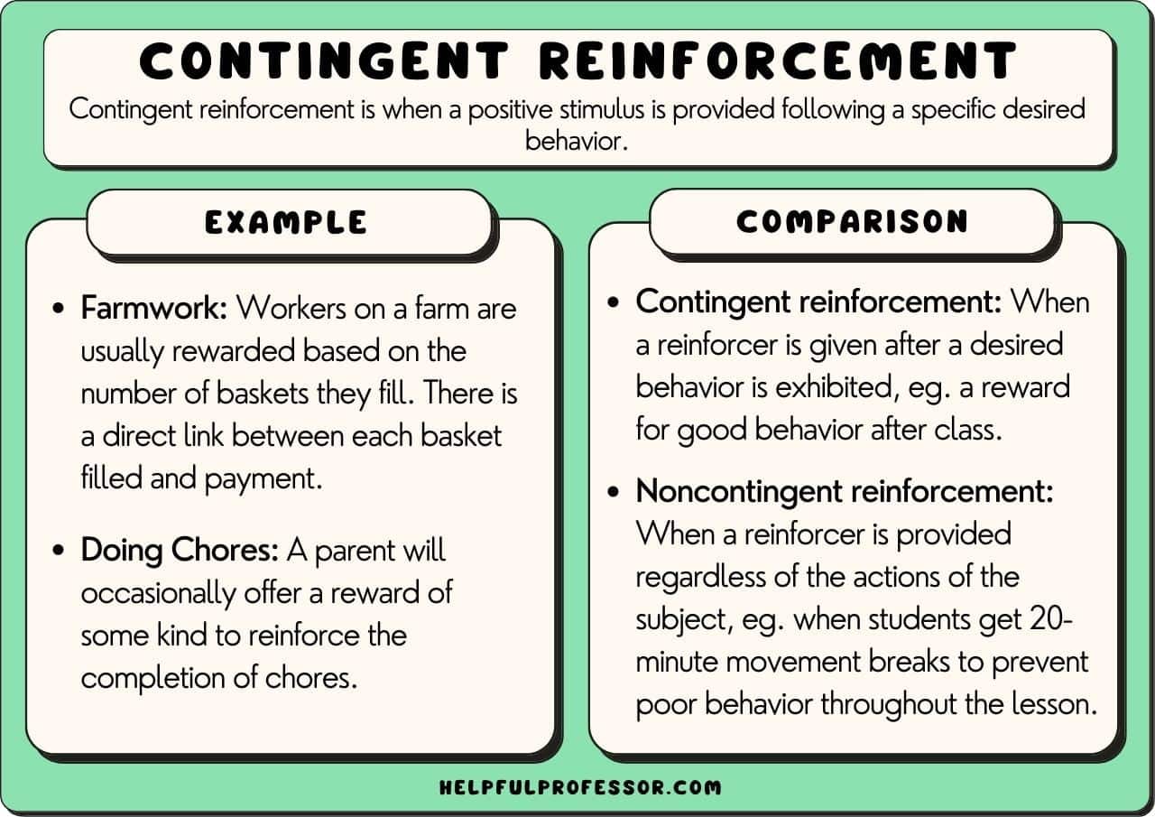 best name for a noncontingent schedule is a continuous schedule