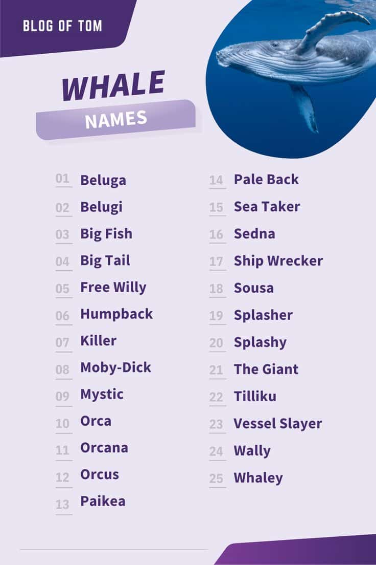 best name for a whale