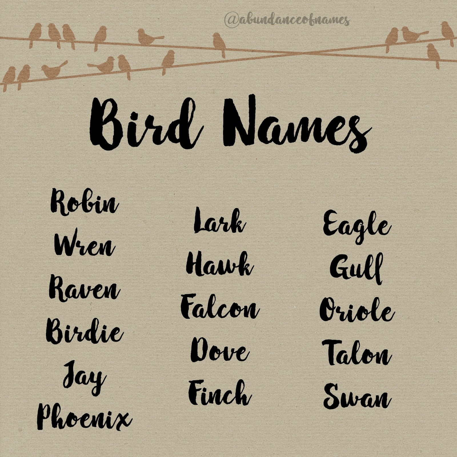 best name for baby bird
