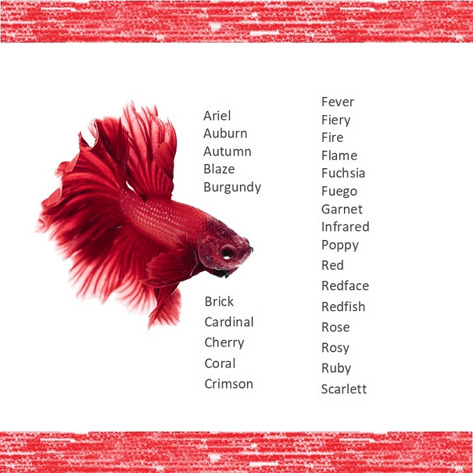 best name for baby fish