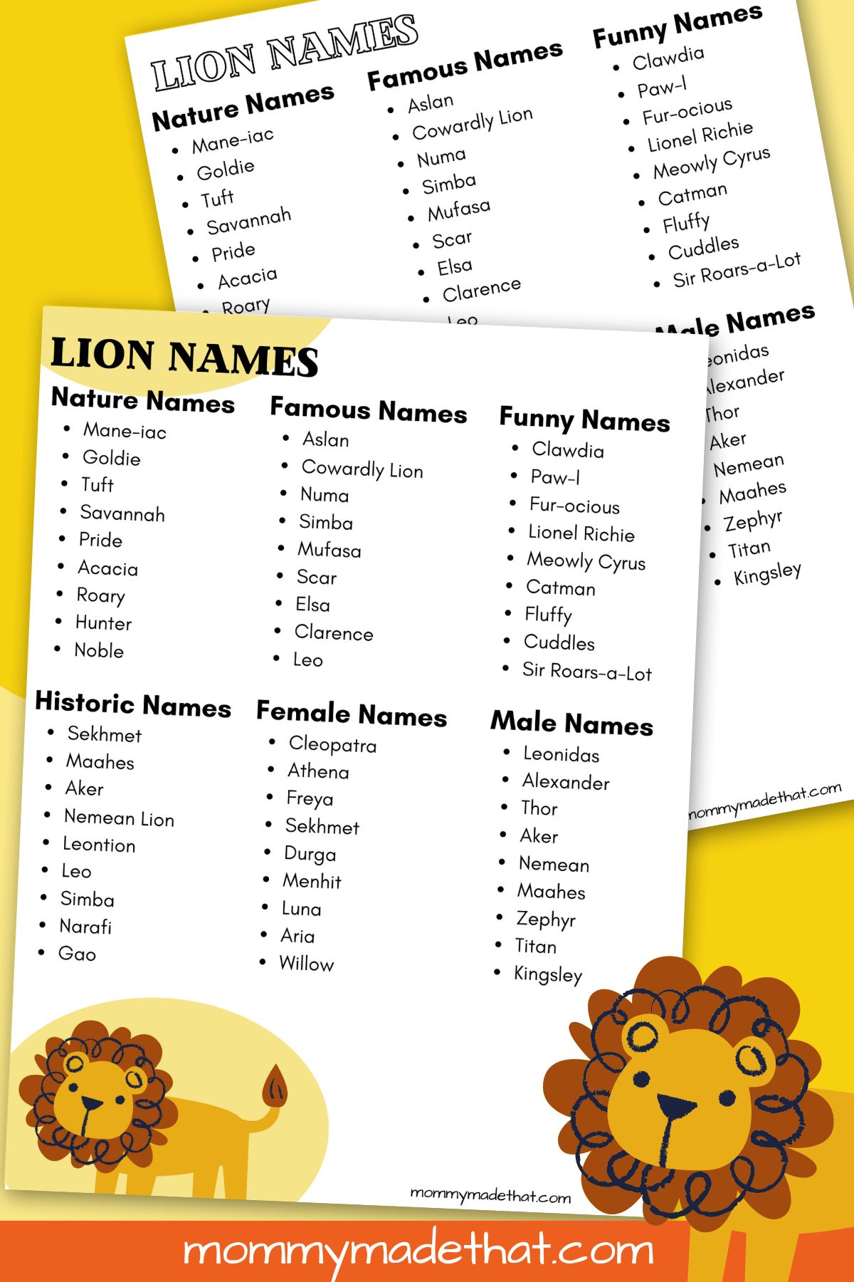 best name for baby lion