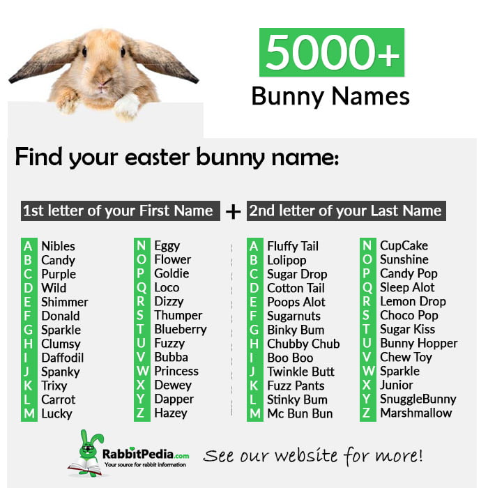 best name for baby rabbit