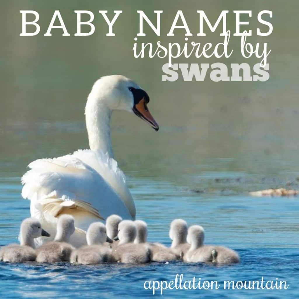 best name for baby swan